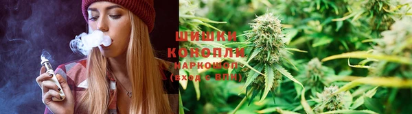 спайс Инта