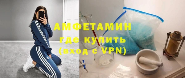 шишки Щёлкино