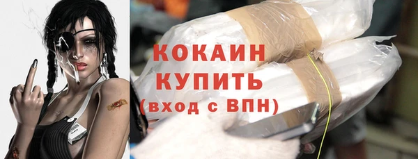 дживик Каменка