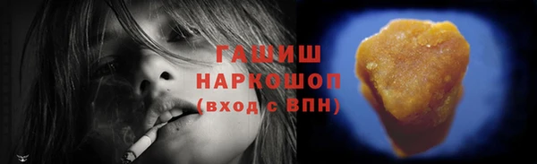 шишки Щигры