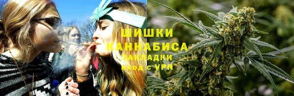 дмт Инсар