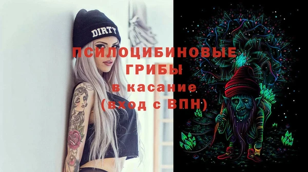 дживик Каменка