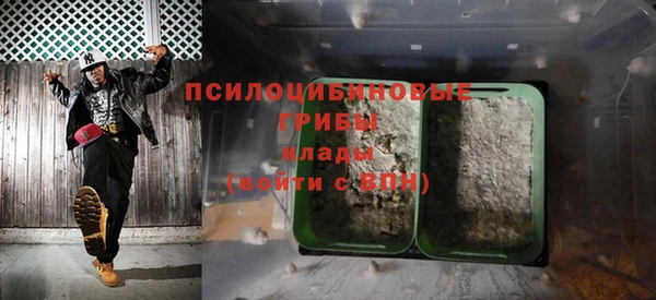 дмт Инсар
