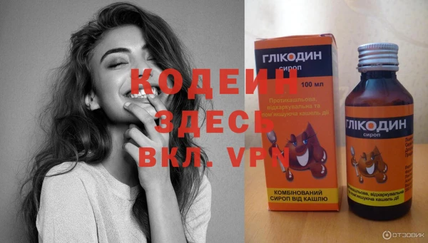 дживик Каменка