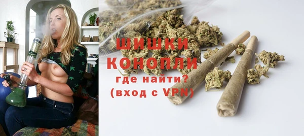 спайс Инта