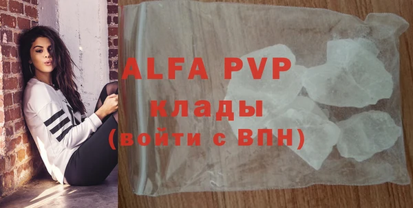 дживик Каменка